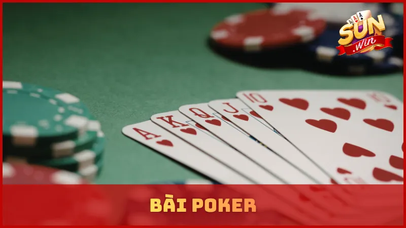 Bài Poker - Hướng Dẫn Cơ Bản Dành Cho Người Mới